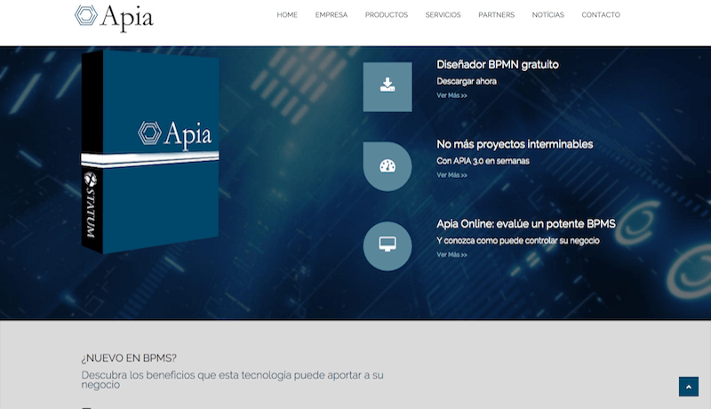 Apia ITIL project for BPS
